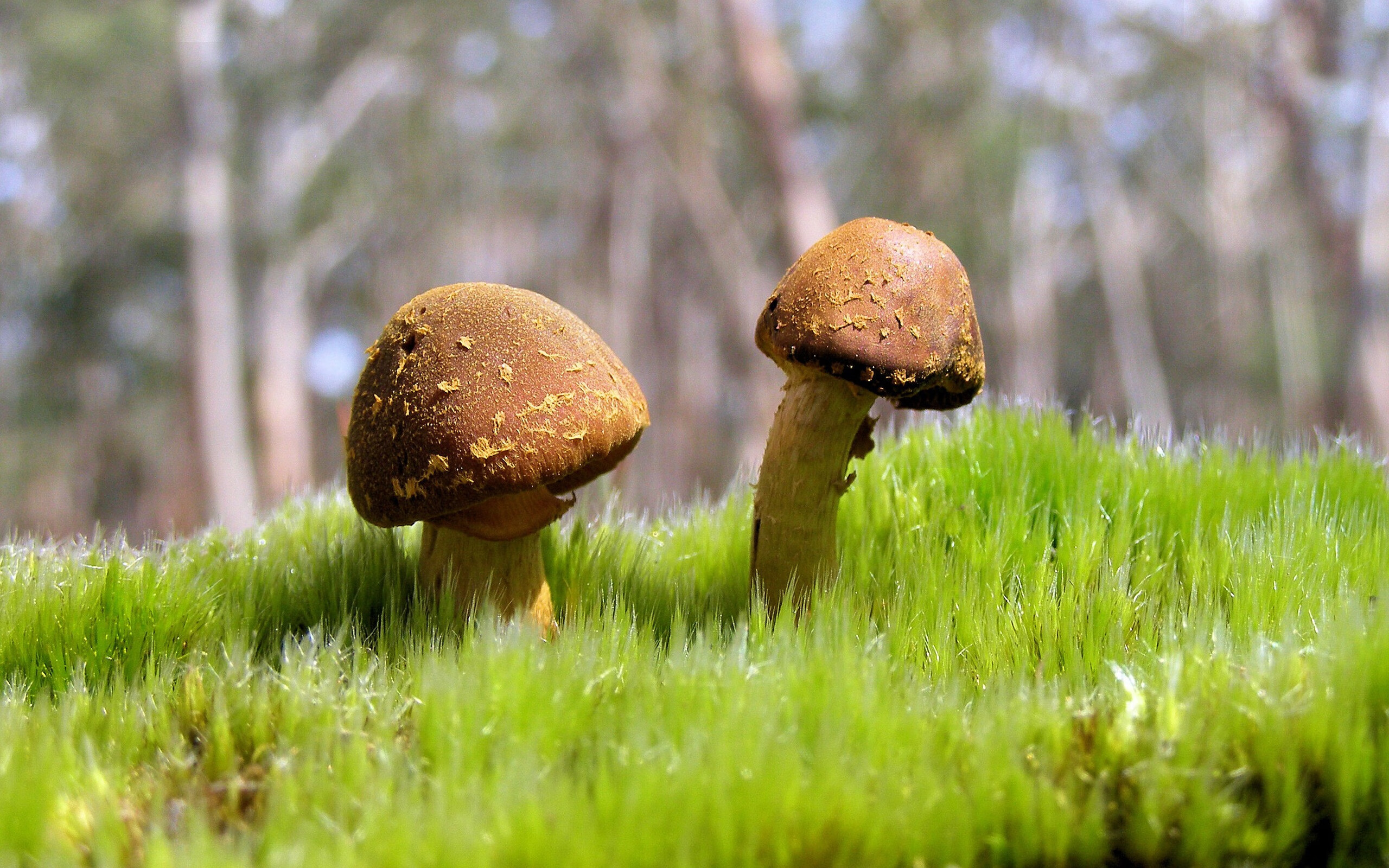 VALORANT 新赛季战术趋势明显，valorant玩法