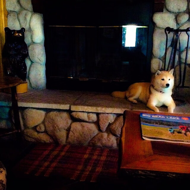 爱游戏app下载-_奇才战术完善，表现逐渐稳定提高_，奇才奇术