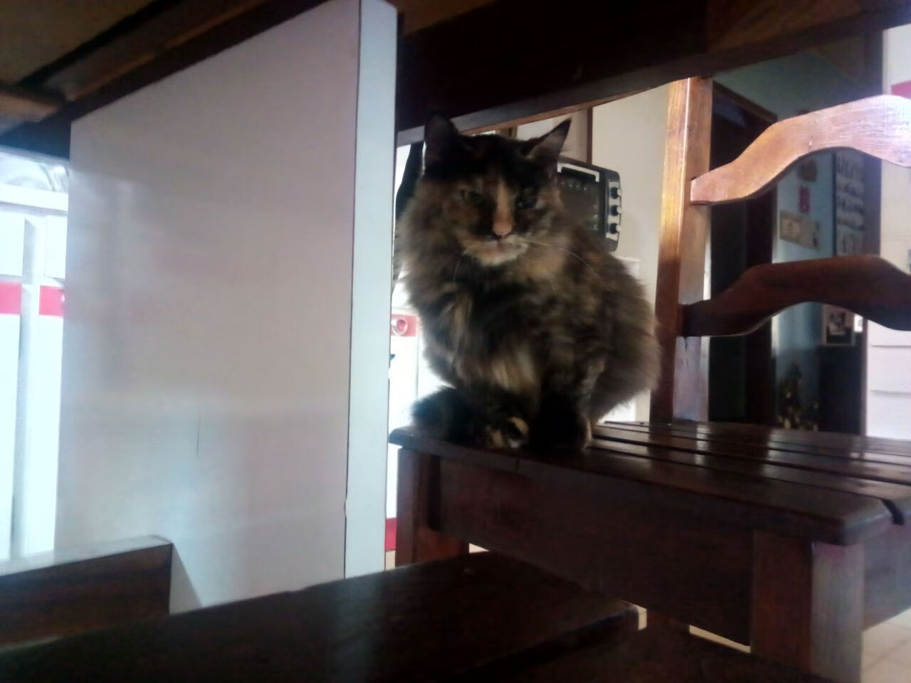 爱游戏ayx官网-“中国足球新政出台，推动行研和青训深融合”，中国足球青训体系现状